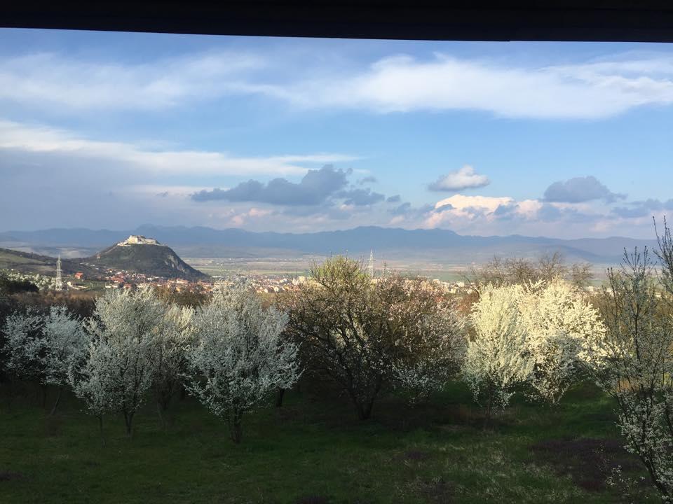 Hanu Lu Mos Opinca Deva Exteriör bild